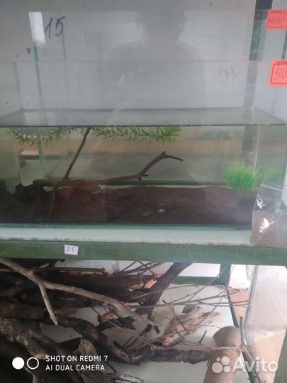 Аквариум укомплектованный