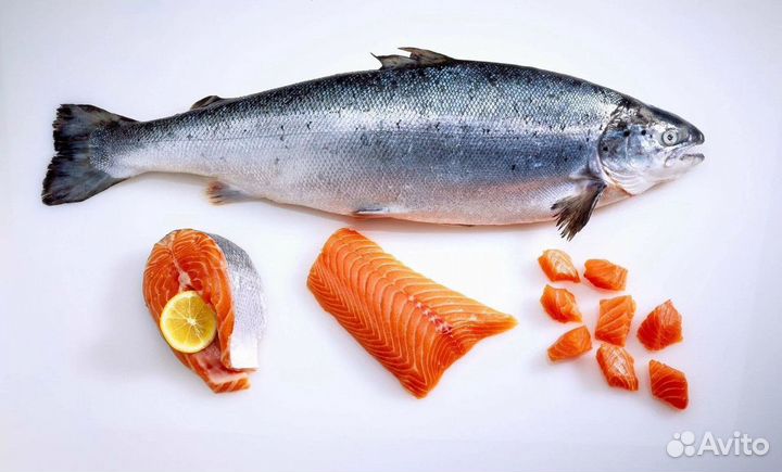 Рыбный магазин с гарантированной клиентурой