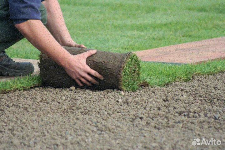 Укладка рулонного газона