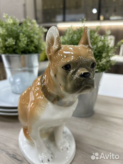 Скульптура собака бульдог фарфор ифз