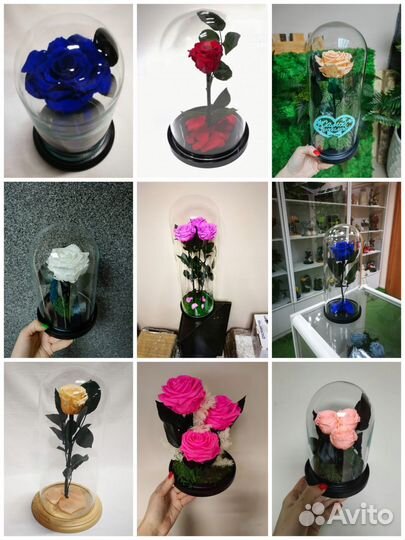 Флорариум. Роза. Пионы. Цветы в колбе. Подарок, от