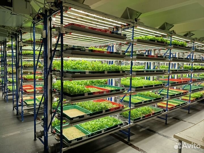 Работник фермы