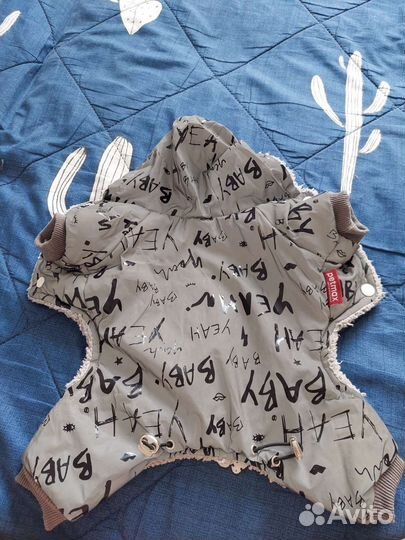 Костюмчик на чихуахуа, на мальчика теплый