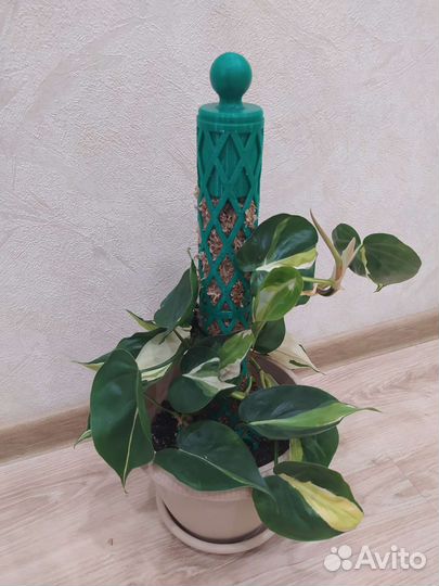 Тотем (опора) для растений