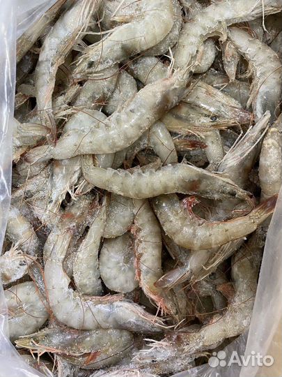Креветка королевская размер 40-50 штук в 1 кг