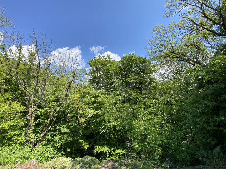 Участок 7,3 сот. (ИЖС)