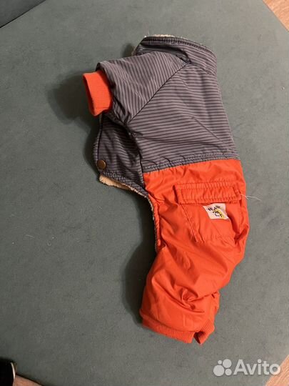 Одежда для маленьких собак