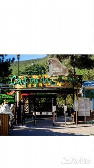 Отдых, путешествия