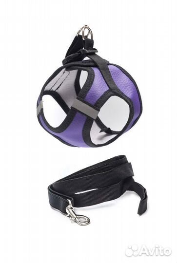 Шлейка с поводком для собак мелких пород