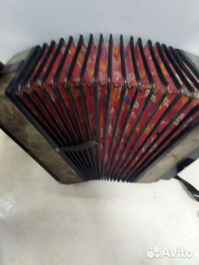 Гармонь СССР