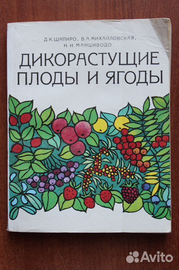 Дикорастущие плоды и ягоды