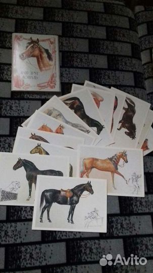 Пакетом наборы открыток СССР