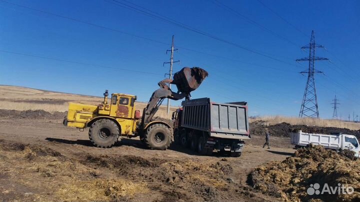 Коровяк на соломе от 3 до 8 кубов