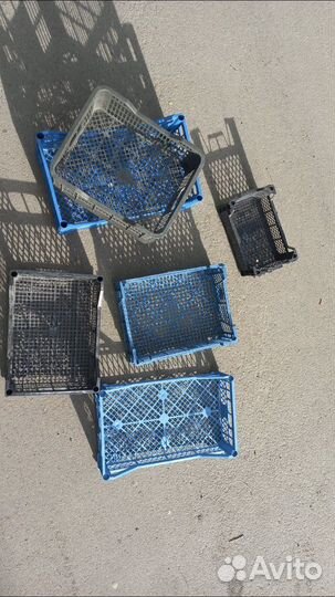 Ящики пластиковые для овощей и фруктов