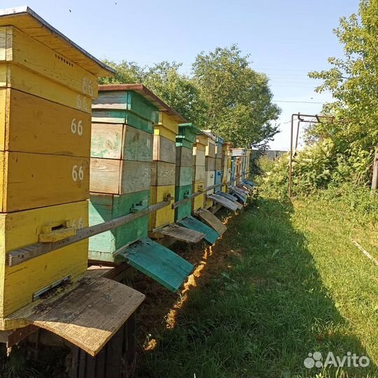 Прицеп пасека