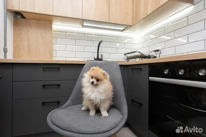 Цена за всю кухню. Кухня угловаяCN:025513