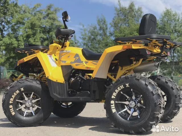 Квадроцикл Motoland Wild Track X 200 PRO(+лебедка)