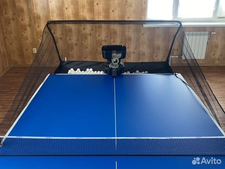 Настольный теннис