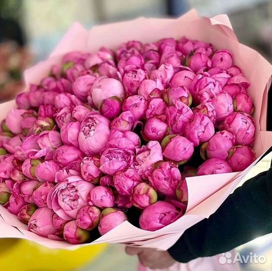 Пионы Букеты Цветы Доставка