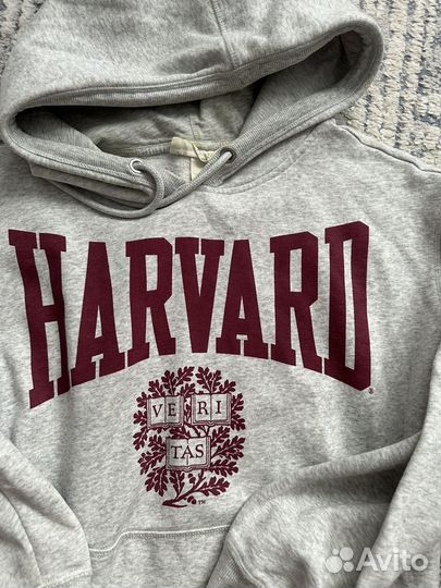 Толстовка HM Harvard