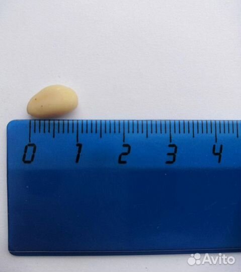 Кедровый орех высший сорт