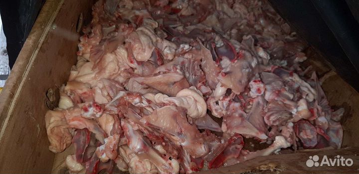 Мясо для животных