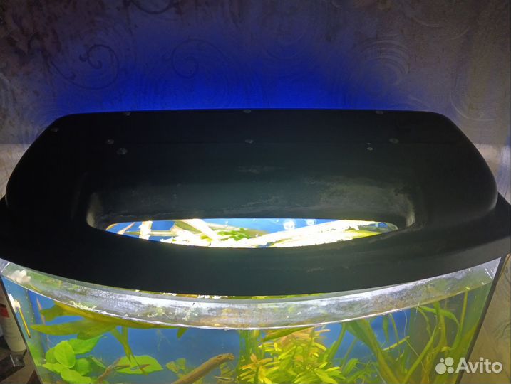 Аквариум