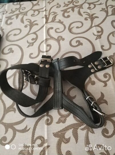 Шлейка кожаная для большой собаки