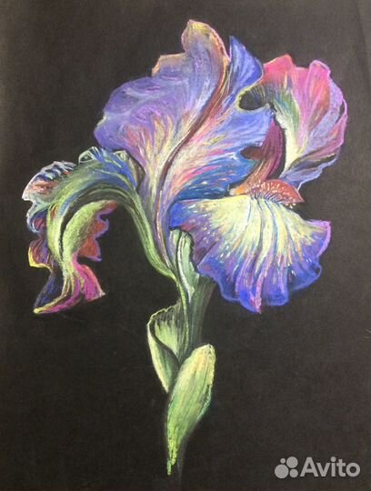 Рисунок пастелью «Ирис»