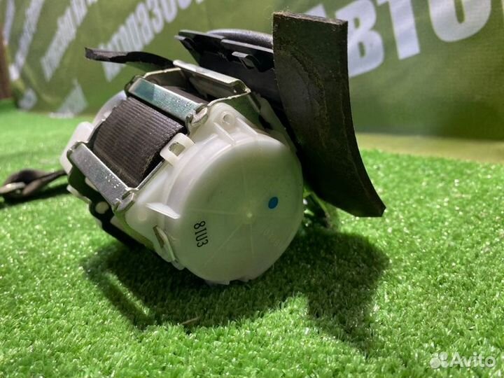 Ремень безопасности задний Nissan Skyline PV36