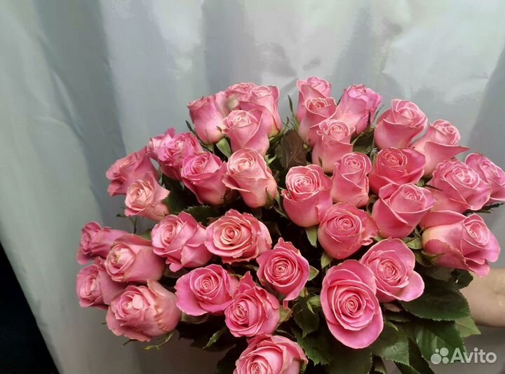 Букет роз. Розы