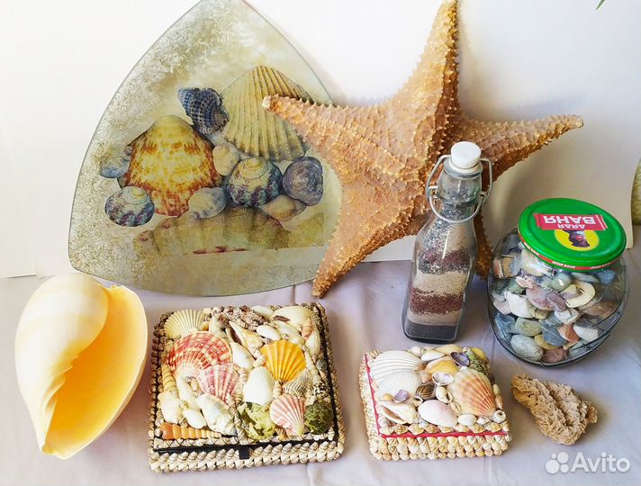 Морские раковины для дизайна интерьера