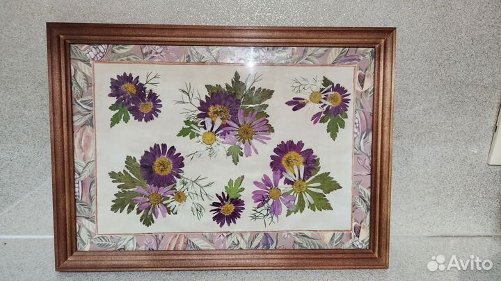 Картина гербарий