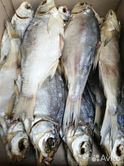 Лещ вяленый Астрахань сезон 2023