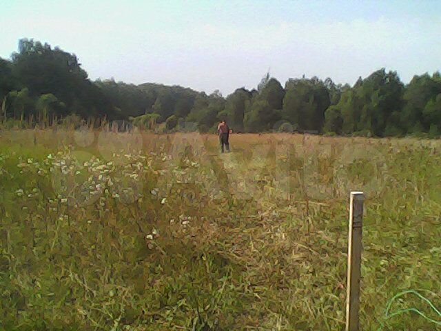 Участок 15 сот. (ИЖС)