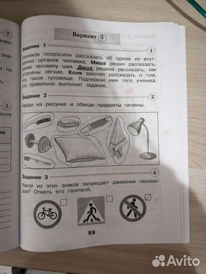 Проверочные работы(Окружающий мир)