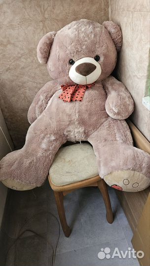 Плюшевый медведь