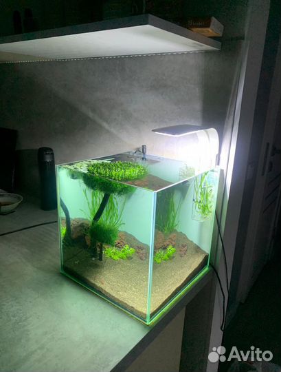 Аквариум