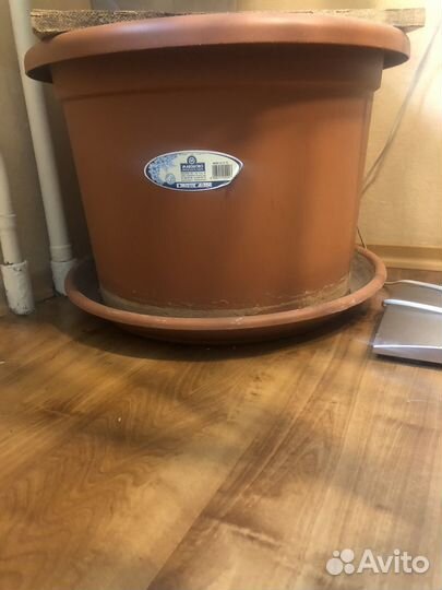 Большой цветочный горшок