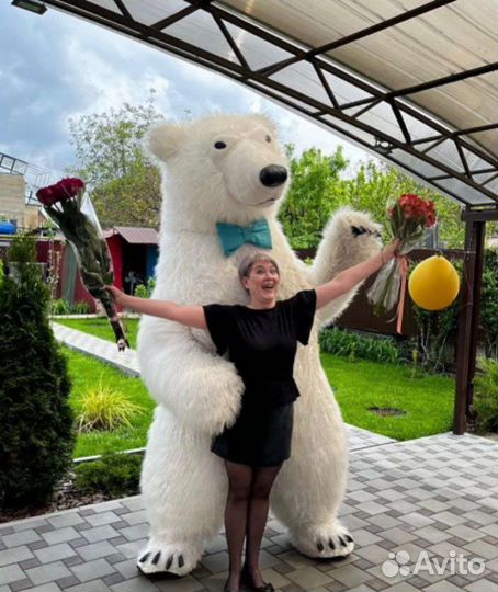 Медведь на день рождения