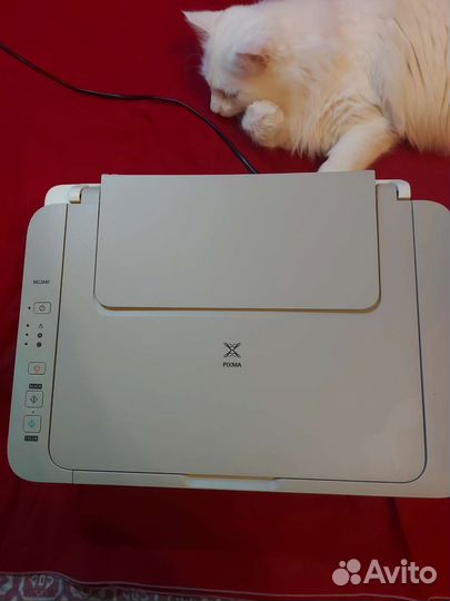 Цветной струйный принтер canon