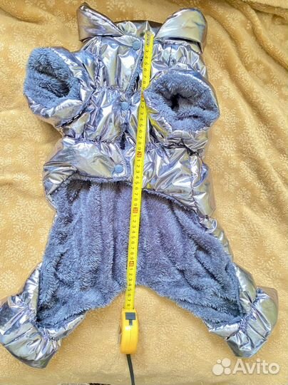 Одежда для собак