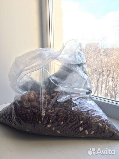 Фасоль для сухого бассейна