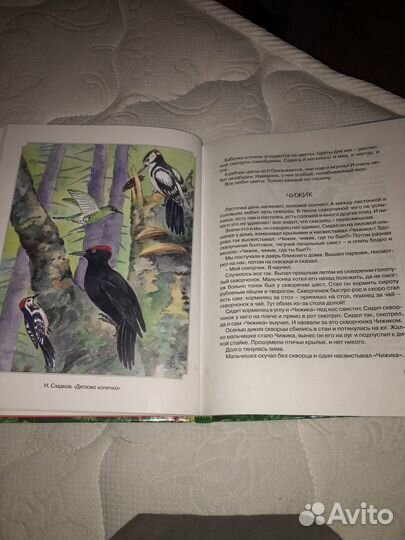 Хрестоматия для детского чтения про зверей и птиц