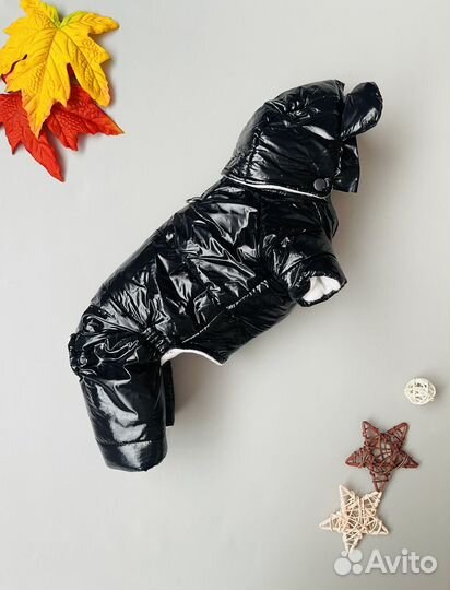 Зимний комбинезон для собаки