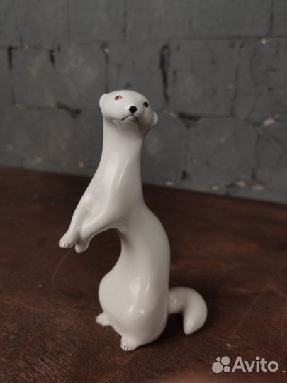 Куница, ласка лфз