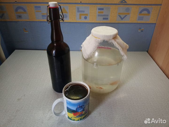 Индийский морской рис(тибетскийгриб/водянойкефир)