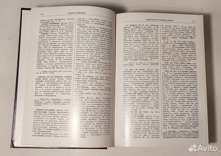 Словарь иноязычных выражений и слов