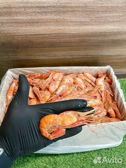 Креветка Ботан