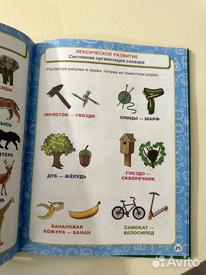 Большая энциклопедия дошкольника М.А.Жукова